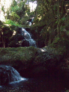 Onomea Falls
