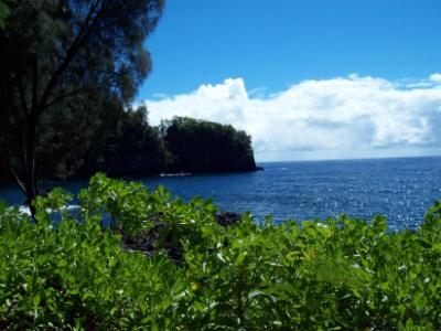 Turtle Point at the Hawaii Tropical Botanical Garden