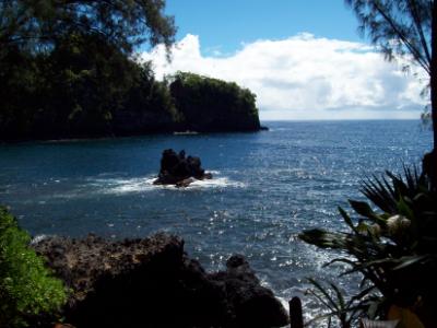 Turtle Point at the Hawaii Tropical Botanical Garden