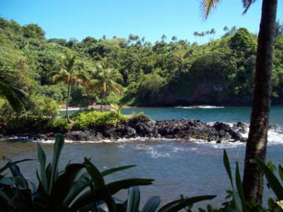 Onomea Bay at the Hawaii Tropical Botanical Garden