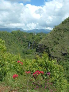 Opaekaa Falls